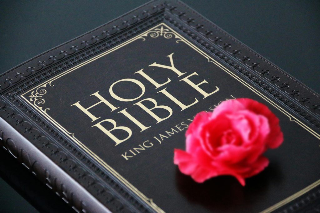 God's Promise to Abraham